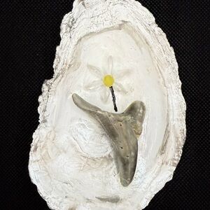 Decorative Oyster Shell Art with Flower and Shark Tooth